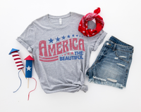America The Beautiful DTF TRANSFER 4065